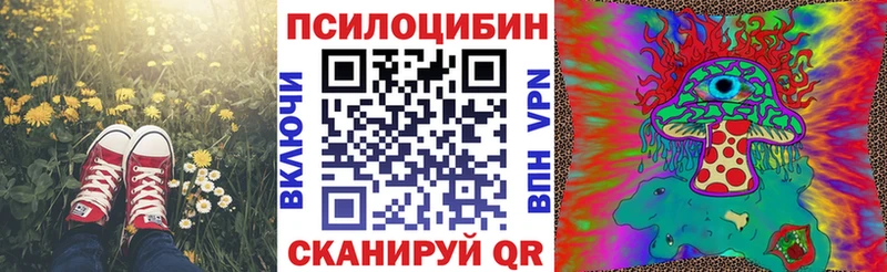 Псилоцибиновые грибы Cubensis  мега   Слободской 